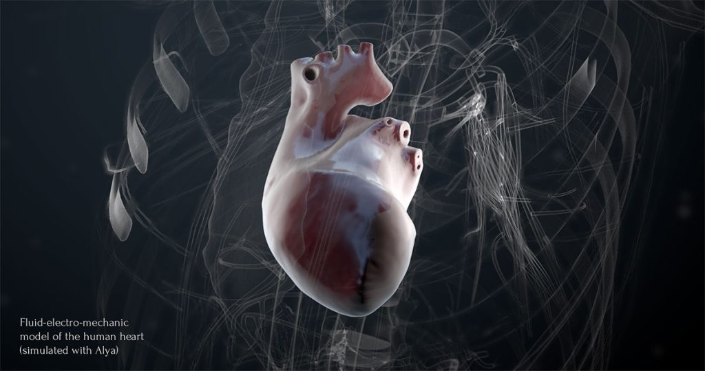 Digital Twin